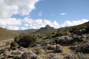 Nrodn park Bale Mountain. Etiopie.