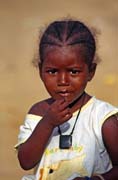 Senegal - mstn holika