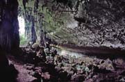 Jeskyn Niah. Malajsie.