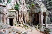 Kamboda - chrm Ta Prohm